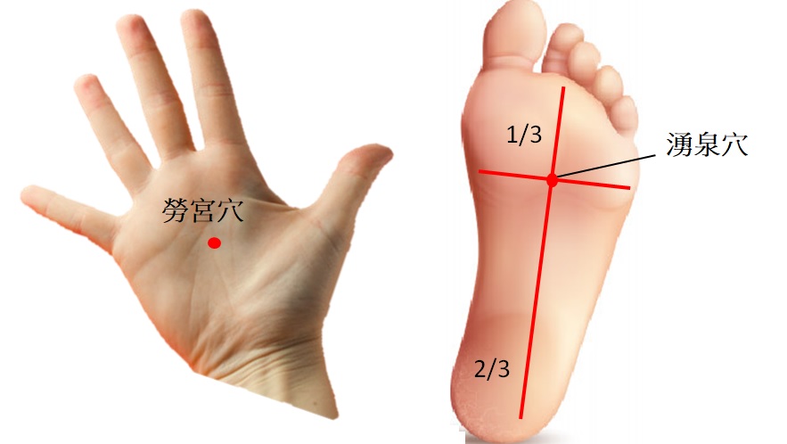 勞宮穴 湧泉穴 穴道圖
