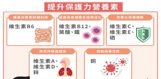 提升保護力營養素 快速累積抗疫保護力！