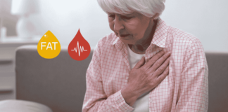 Mortality From New Cardiovascular Diseases Doubled In Postmenopausal Women