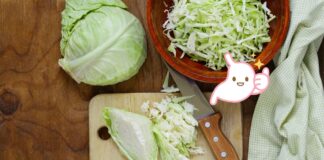 Cabbage Is The Stomach Medicine Of Vegetables