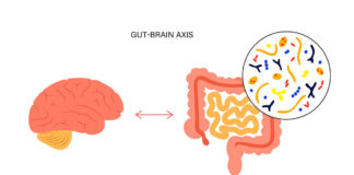 Gut Brain Axis