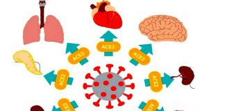 長期Covid 更可怕！研究：全身性長期損傷後果嚴重！(圖.BMJ 2021;374:n1648)