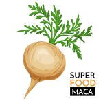 瑪卡(Maca)秘魯人參